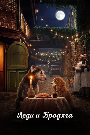 Постер к фильму "Леди и Бродяга" #693738