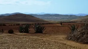 Задник к фильму "Хороший, плохой, злой" #582117