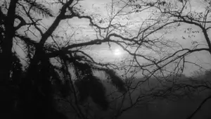 Задник к фильму "Ночь живых мертвецов" #697260