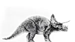 Задник к фильму "Парк Юрского периода" #181515