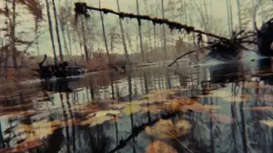 Задник к фильму "Зловещие мертвецы" #637048