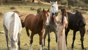 Задник к фильму "Восточный ветер 3: Наследие Оры" #423737