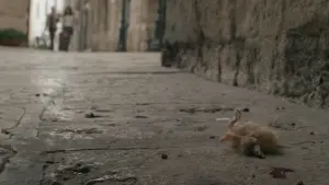 Задник к фильму "Весна" #273756