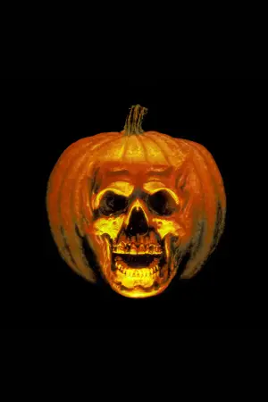 Постер к фильму "Хэллоуин 2" #709047