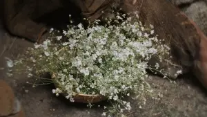 Задник к фильму "Материалистка" #558698