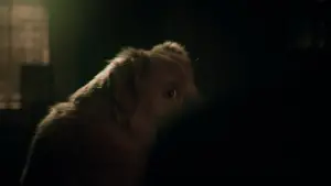 Задник к фильму "Хороший мальчик" #517185