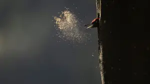 Задник к фильму "" #534635