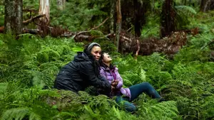 Задник к фильму "Город тайн: Исчезнувшая" #430501