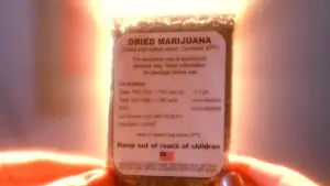 Задник к фильму "Хохотушка" #676715