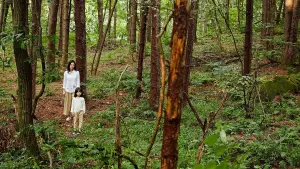 Задник к фильму "" #338214