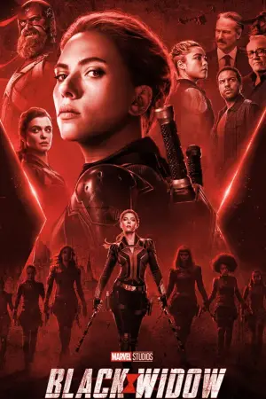 Постер к фильму "Чёрная вдова" #570061