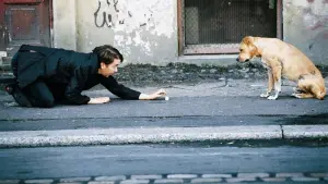 Задник к фильму "Берлинский блюз" #498231