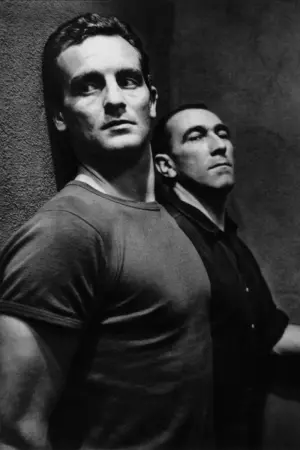 Постер к фильму "Дыра" #174882