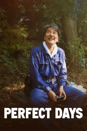 Постер к фильму "Идеальные дни" #529860