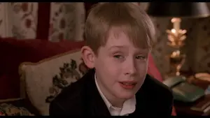 Задник к фильму "Один дома 2: Затерянный в Нью-Йорке" #567073