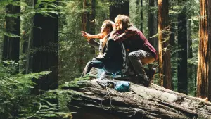 Задник к фильму "Человек – швейцарский нож" #252565