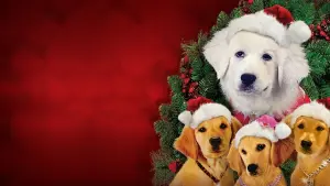 Задник к фильму "Рождественская пятерка" #346739