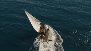 Задник к фильму "" #511829