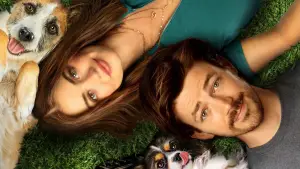 Задник к фильму "Щенячья любовь" #675020