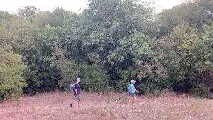 Задник к фильму "Testimonies of a New Frontier" #192090