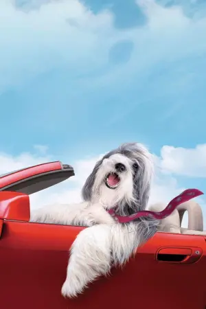 Постер к фильму "Лохматый папа" #347037