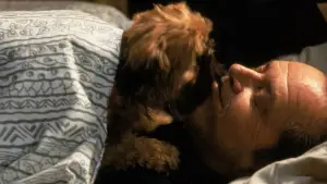 Задник к фильму "Лучше не бывает" #686780