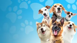 Задник к фильму "Пушистая братва" #469164