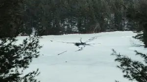 Задник к фильму "" #543555