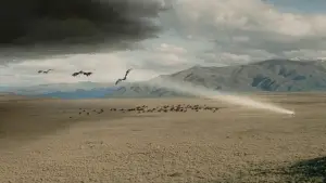 Задник к фильму "Властелин колец: Возвращение короля" #514746