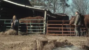 Задник к фильму "Зимняя кость" #261079