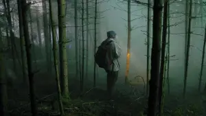 Задник к фильму "Тихий лес" #373124