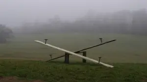 Задник к фильму "Таинственный лес" #728837