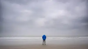 Задник к фильму "Океан с Дэвидом Аттенборо" #617828