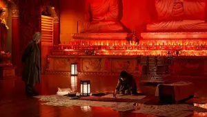 Задник к фильму "Метод: Добыча мертвеца" #339448