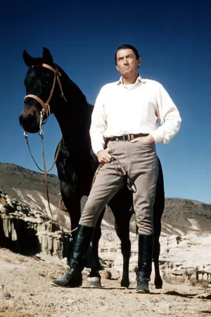 Постер к фильму "Большая страна" #203326