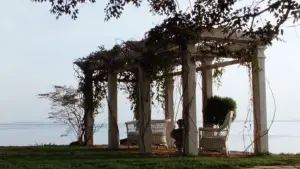 Задник к фильму "Практическая магия" #697219