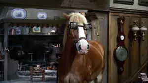 Задник к фильму "Доктор Дулиттл" #385015