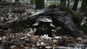 Задник к фильму "Элитный отряд" #415080