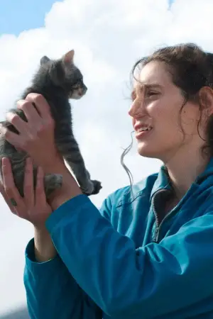 Постер к фильму "Прости, детка" #523596