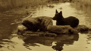 Задник к фильму "Сталкер" #734105