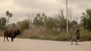 Задник к фильму "" #410662