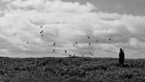 Задник к фильму "Удел человеческий 3" #387061