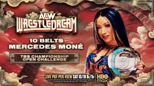 Задник к фильму "AEW WrestleDream 2025" #868179