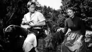 Задник к фильму "Рэйчел и незнакомец" #400004