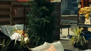 Задник к фильму "Нью-Йорк, Нью-Йорк" #713430