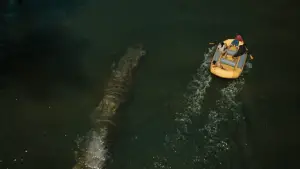 Задник к фильму "" #511835