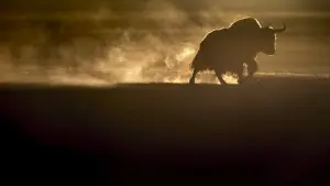 Задник к фильму "" #390741