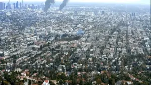 Задник к фильму "Птица в клетке. Заражение" #294228