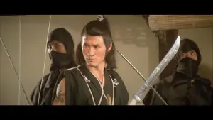 Задник к фильму "Ниндзя пяти стихий" #471132