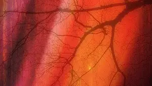 Задник к фильму "" #744211